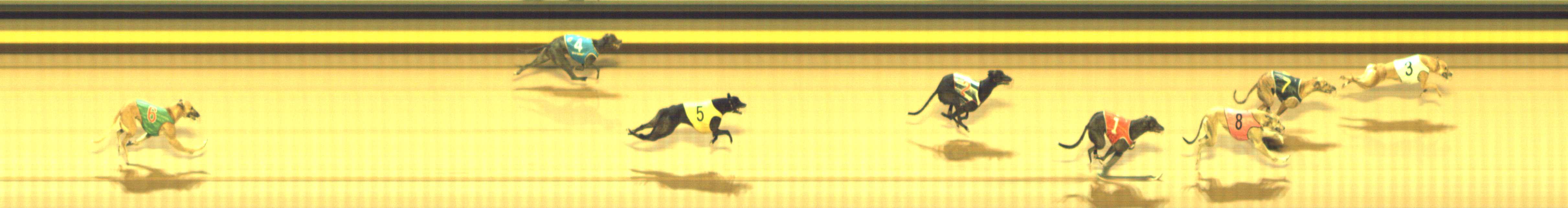 Photo finish for Shepparton Race 3