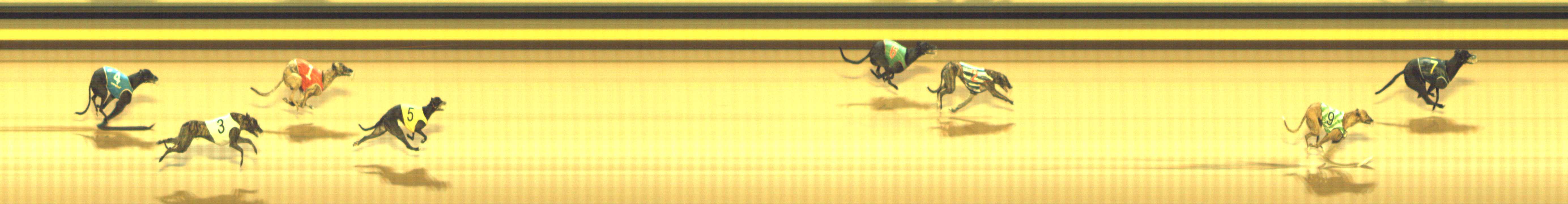 Photo finish for Shepparton Race 4