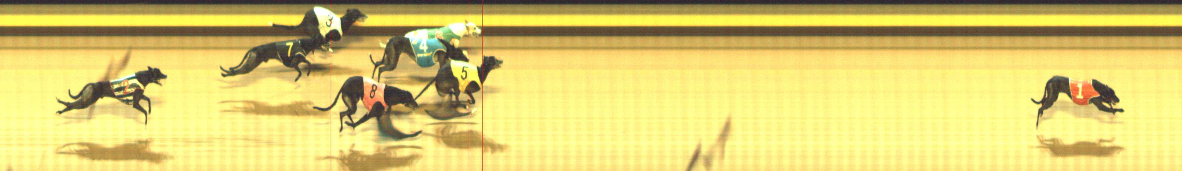 Photo finish for Shepparton Race 5
