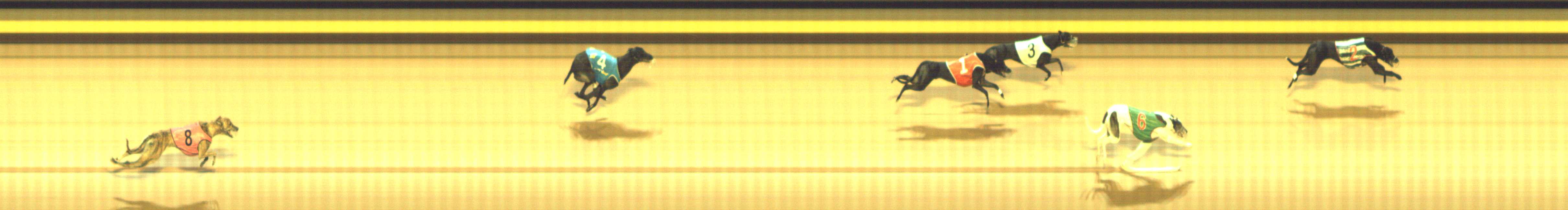 Photo finish for Shepparton Race 6
