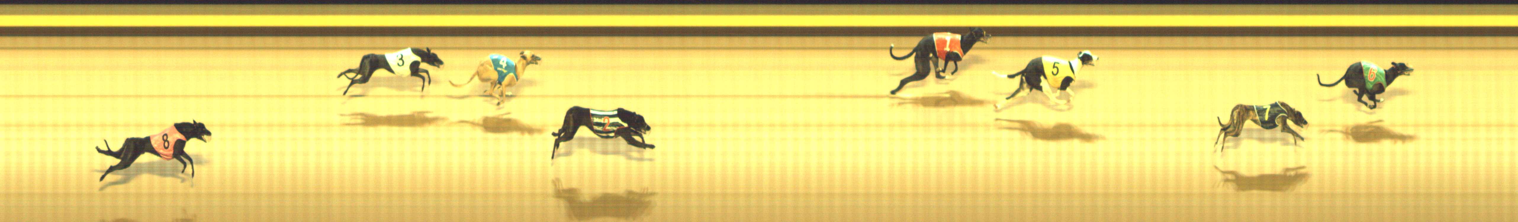 Photo finish for Shepparton Race 7