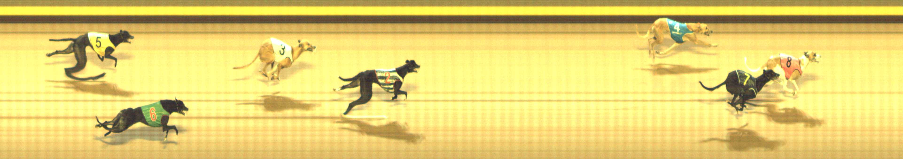 Photo finish for Shepparton Race 8