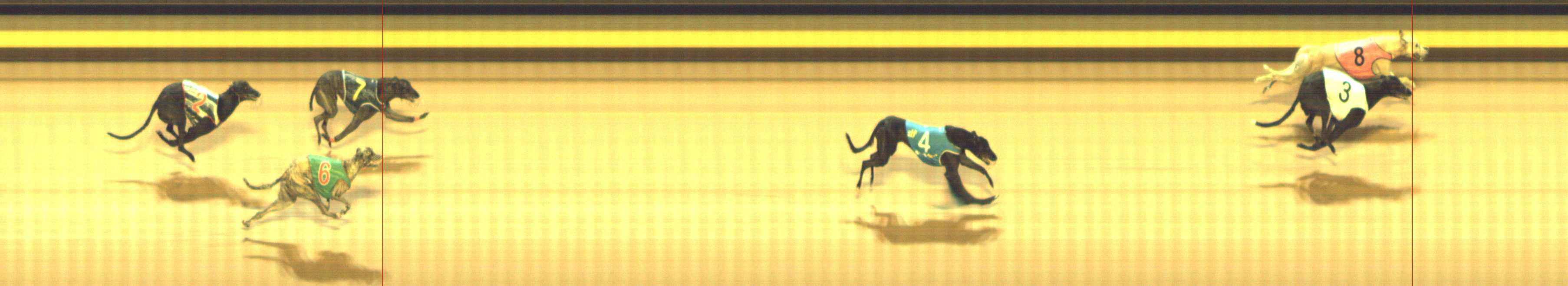 Photo finish for Shepparton Race 9