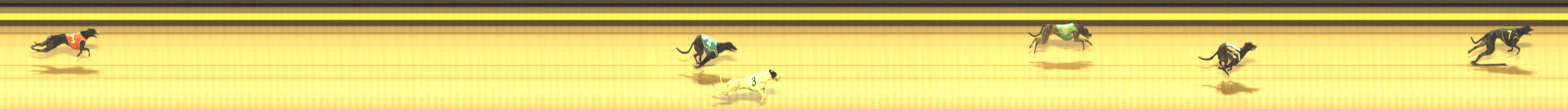 Photo finish for Shepparton Race 10