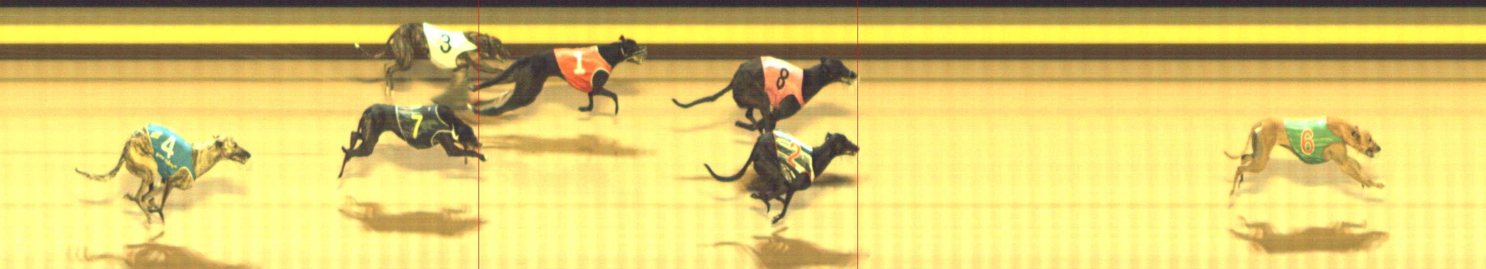 Photo finish for Shepparton Race 11