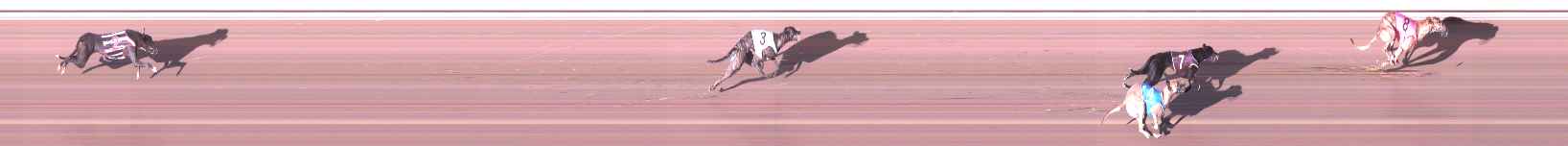 Photo finish for Shepparton Race 1