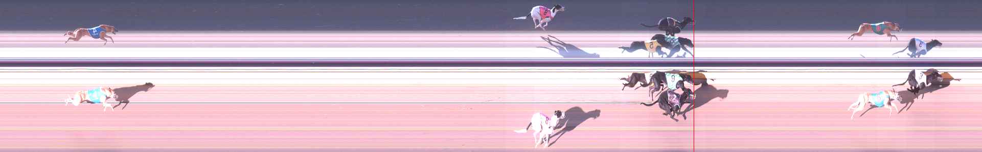 Photo finish for Shepparton Race 2