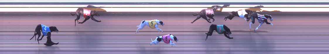 Photo finish for Shepparton Race 3