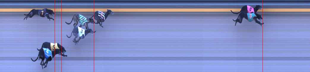 Photo finish for Shepparton Race 6
