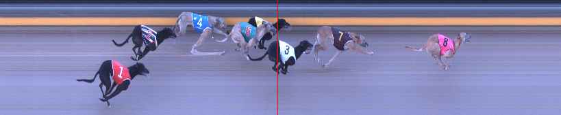 Photo finish for Shepparton Race 7