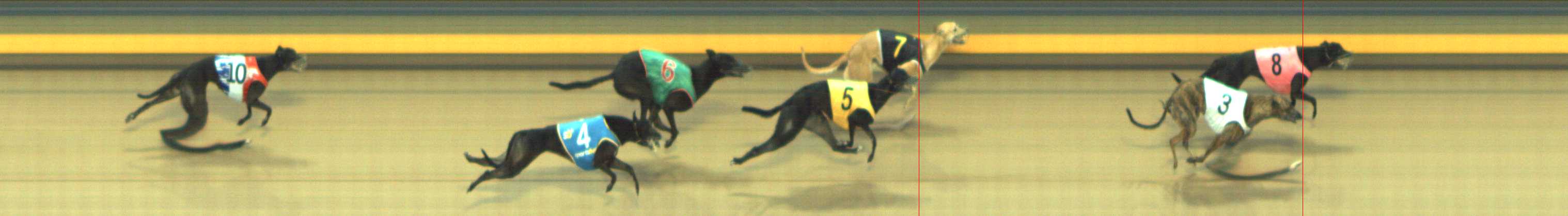 Photo finish for Shepparton Race 8