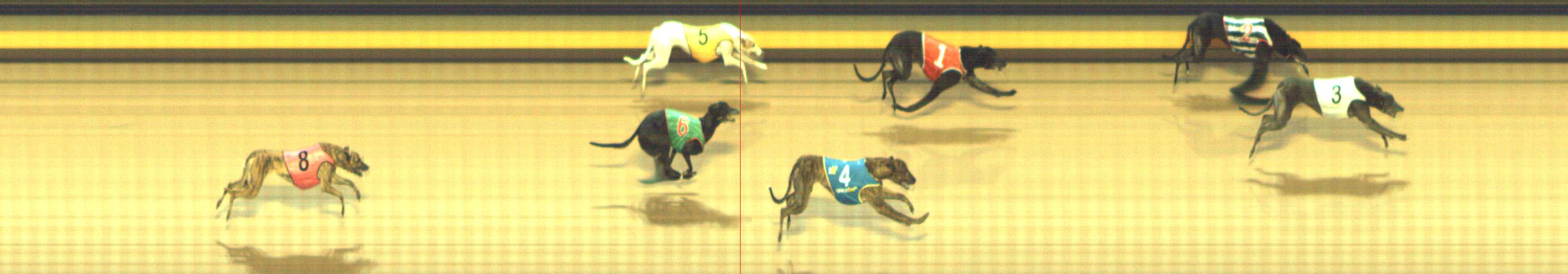Photo finish for Shepparton Race 9