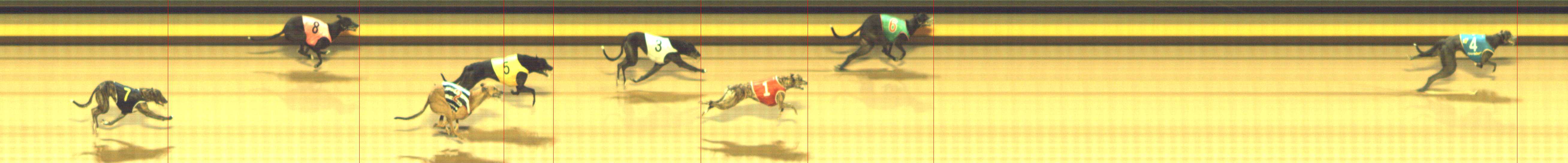 Photo finish for Shepparton Race 10