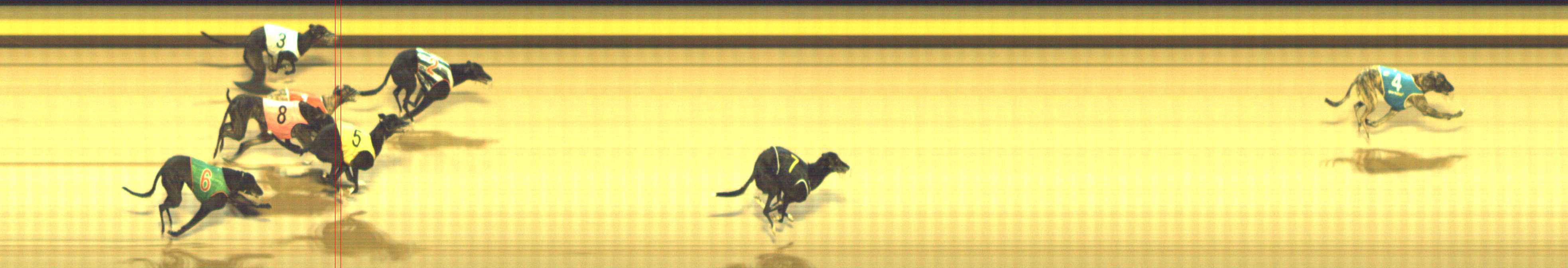 Photo finish for Shepparton Race 11