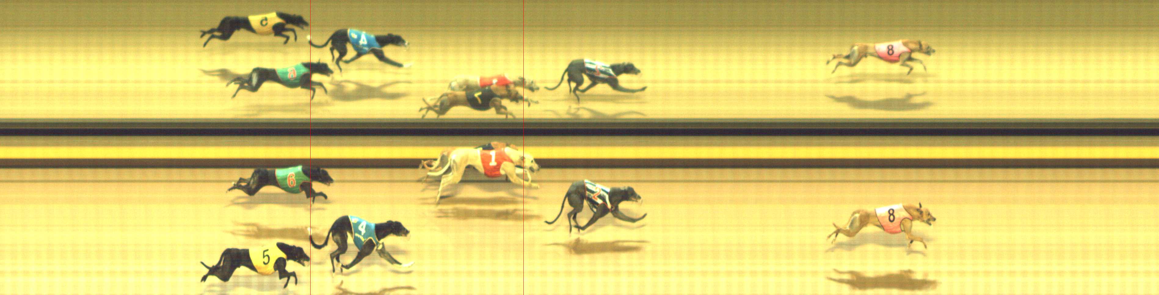Photo finish for Shepparton Race 12