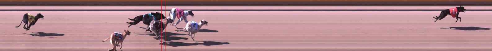 Photo finish for Shepparton Race 1