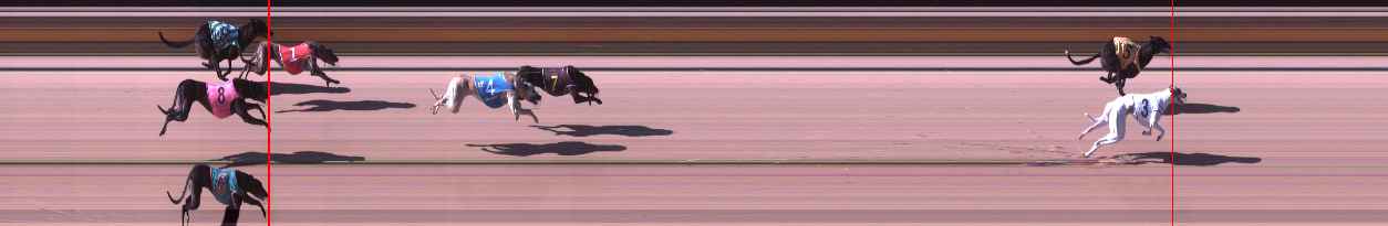 Photo finish for Shepparton Race 2