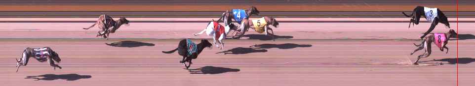 Photo finish for Shepparton Race 4