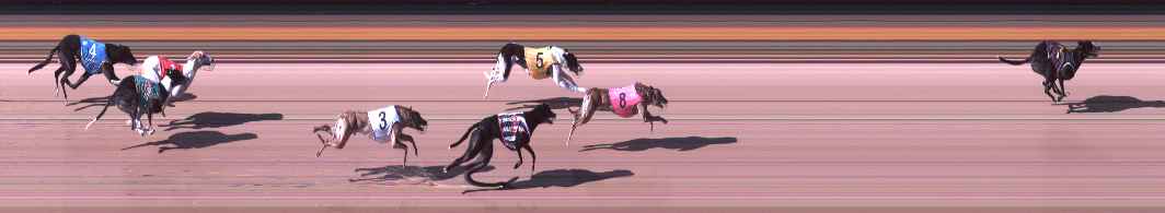 Photo finish for Shepparton Race 5