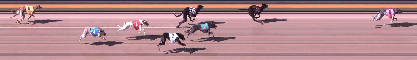 Photo finish for Shepparton Race 6
