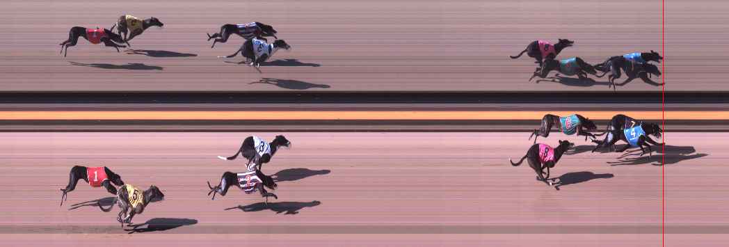 Photo finish for Shepparton Race 7