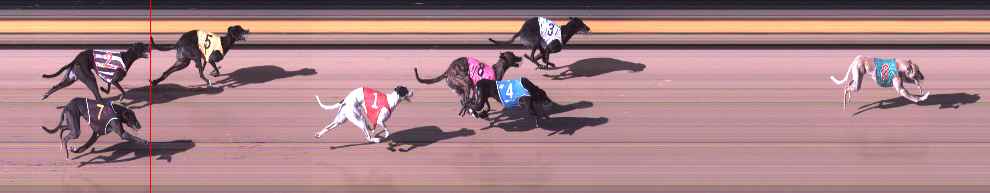 Photo finish for Shepparton Race 8