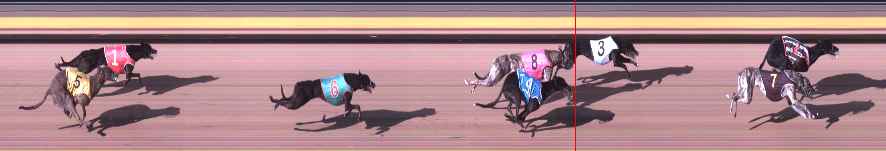 Photo finish for Shepparton Race 9