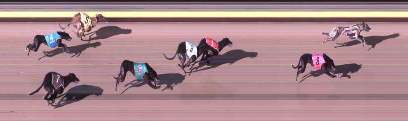 Photo finish for Shepparton Race 11
