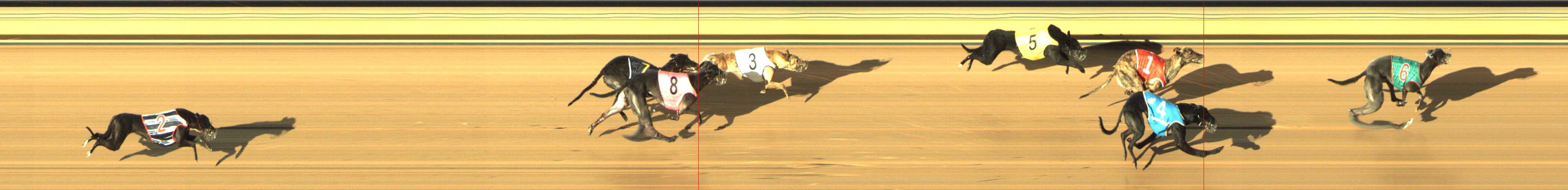 Photo finish for Shepparton Race 12