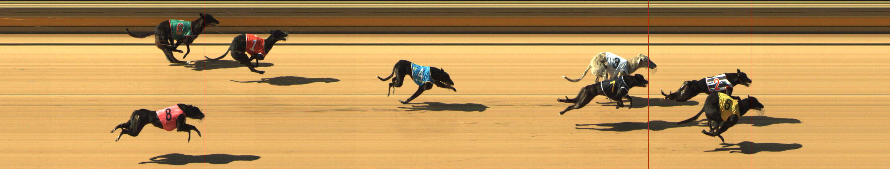 Photo finish for Shepparton Race 2