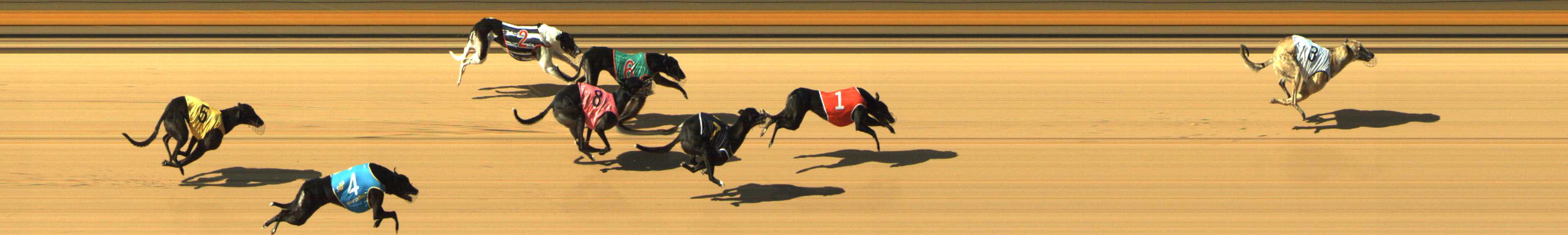 Photo finish for Shepparton Race 4