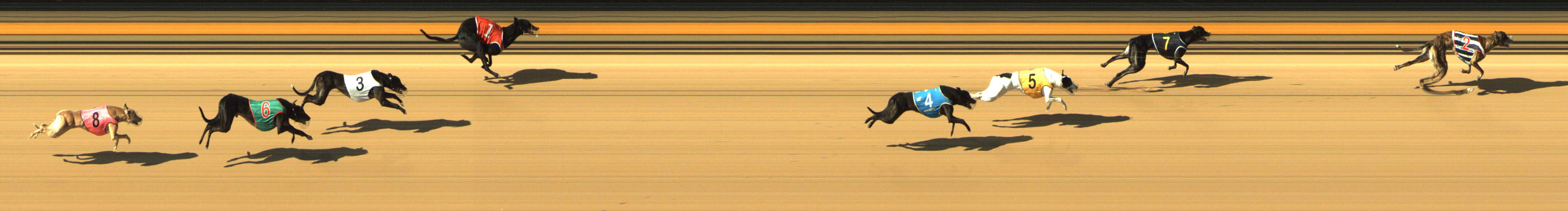 Photo finish for Shepparton Race 5