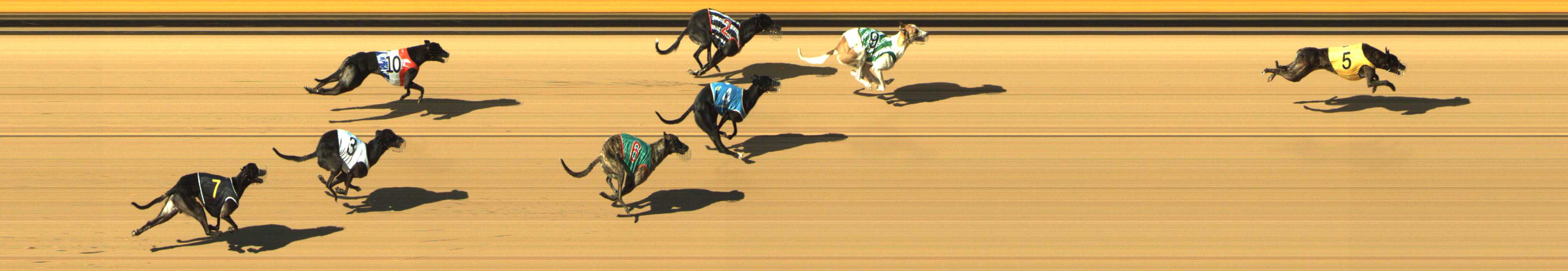 Photo finish for Shepparton Race 6