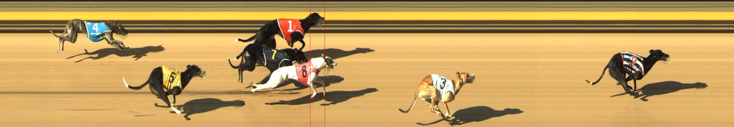 Photo finish for Shepparton Race 7
