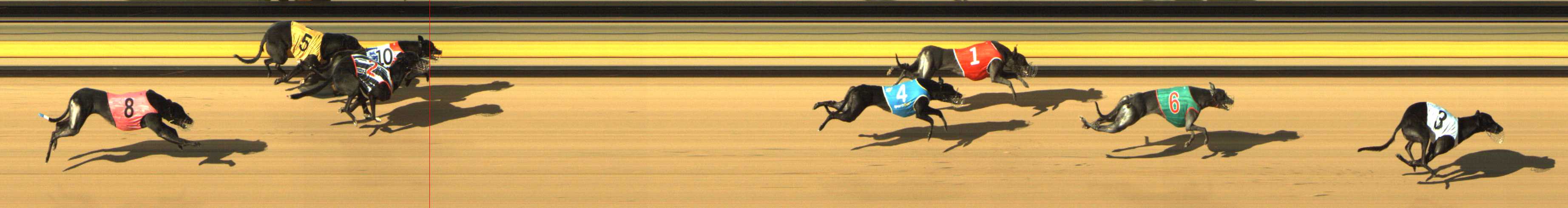 Photo finish for Shepparton Race 8
