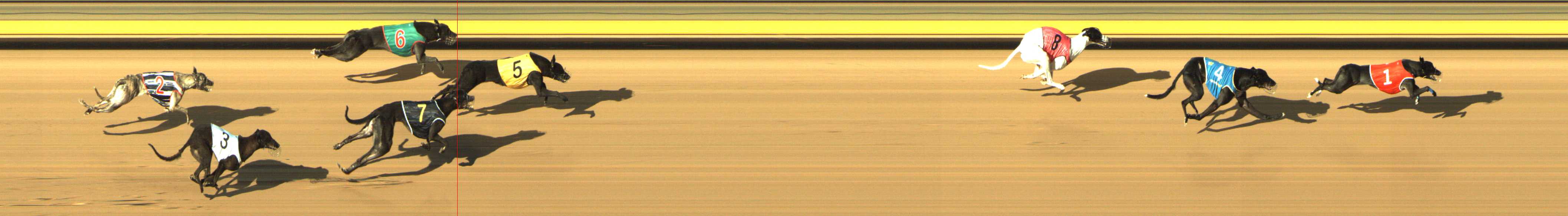 Photo finish for Shepparton Race 9