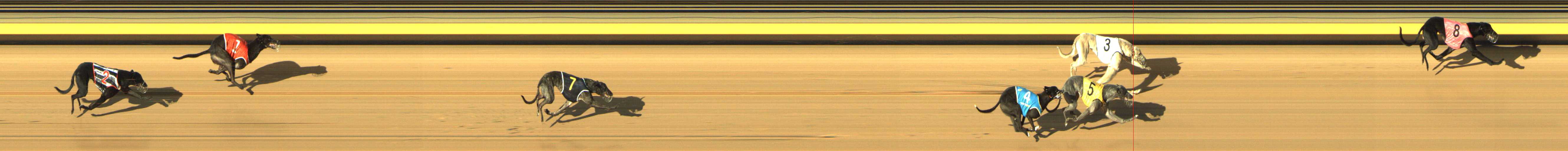 Photo finish for Shepparton Race 10