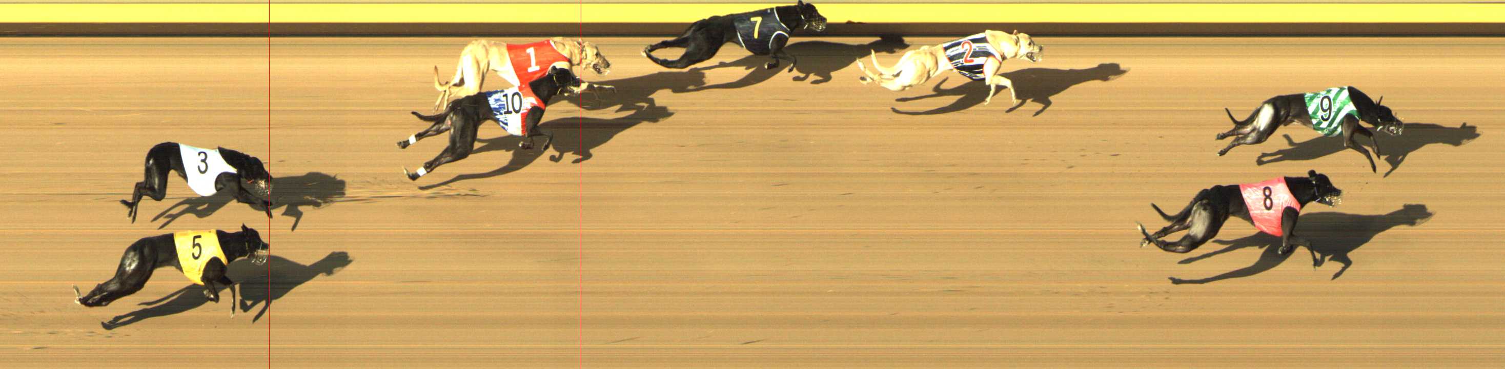 Photo finish for Shepparton Race 11