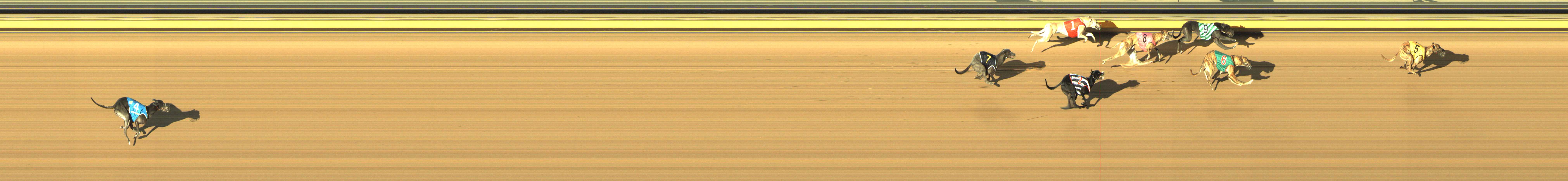 Photo finish for Shepparton Race 12