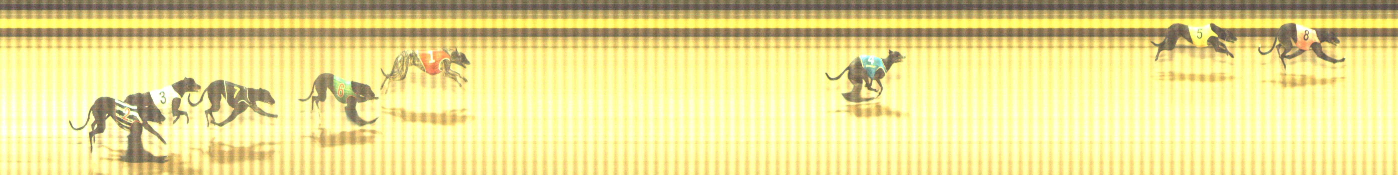 Photo finish for Shepparton Race 1