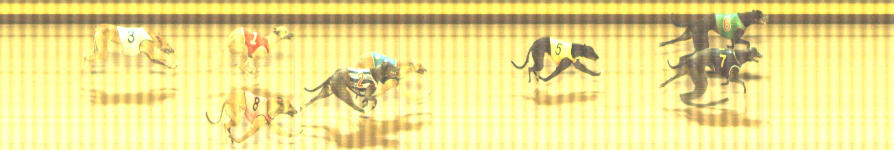 Photo finish for Shepparton Race 3
