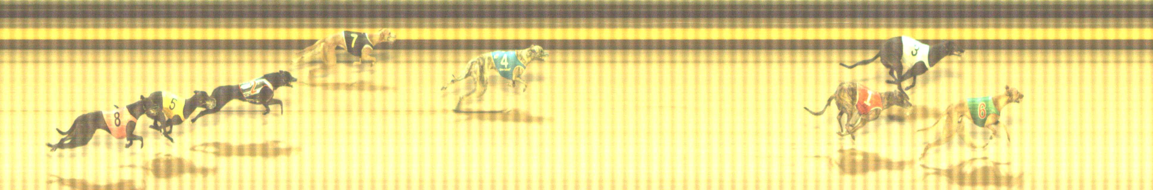 Photo finish for Shepparton Race 4