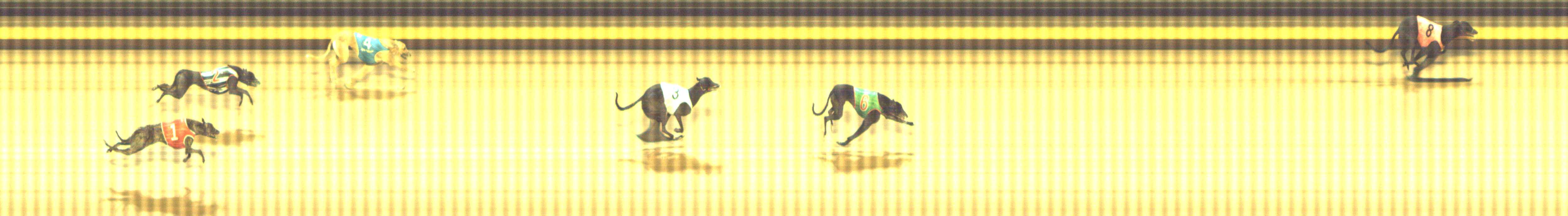 Photo finish for Shepparton Race 6
