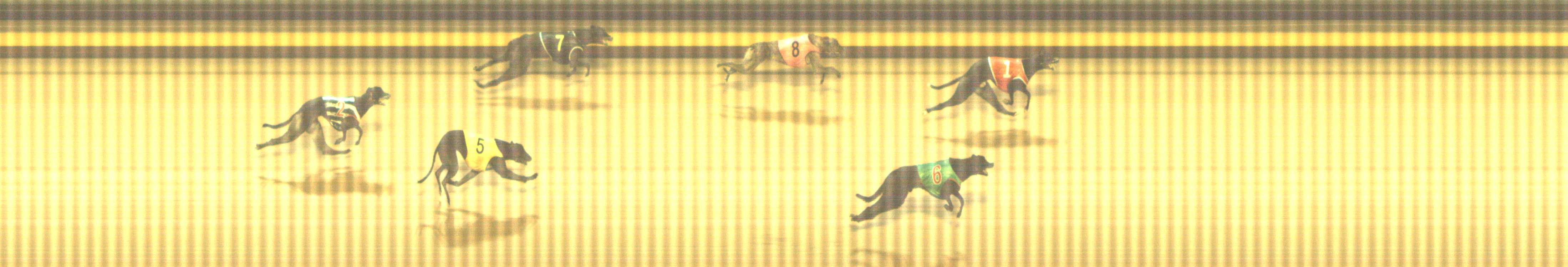 Photo finish for Shepparton Race 7