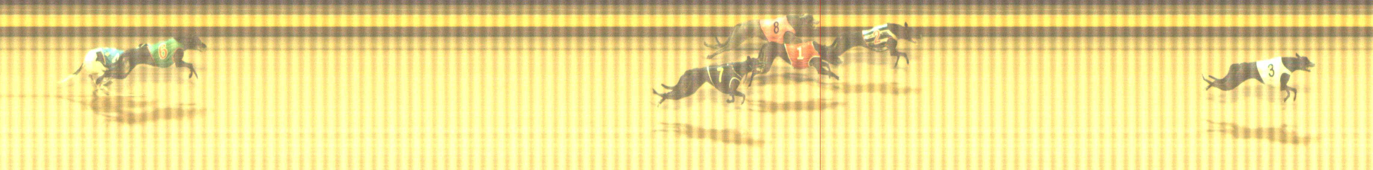 Photo finish for Shepparton Race 8