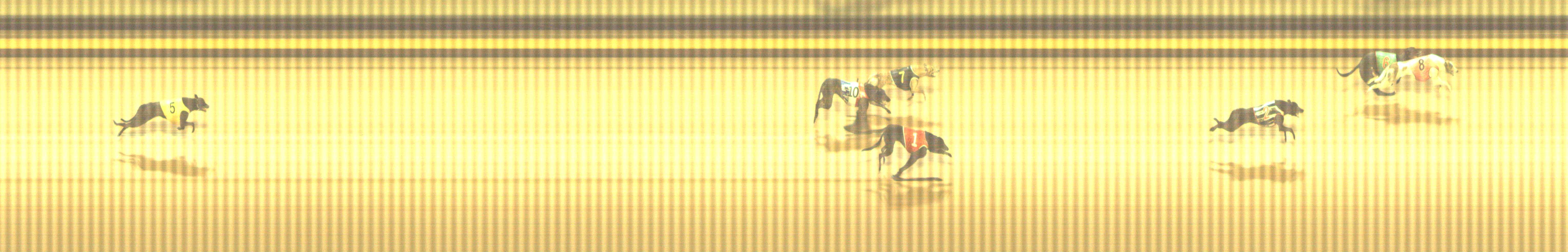 Photo finish for Shepparton Race 9