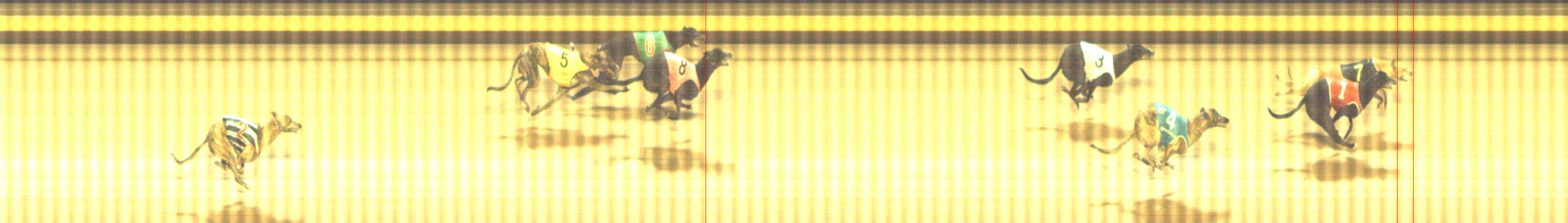 Photo finish for Shepparton Race 10