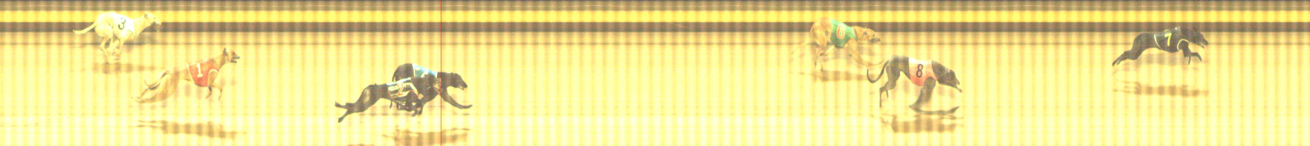 Photo finish for Shepparton Race 12