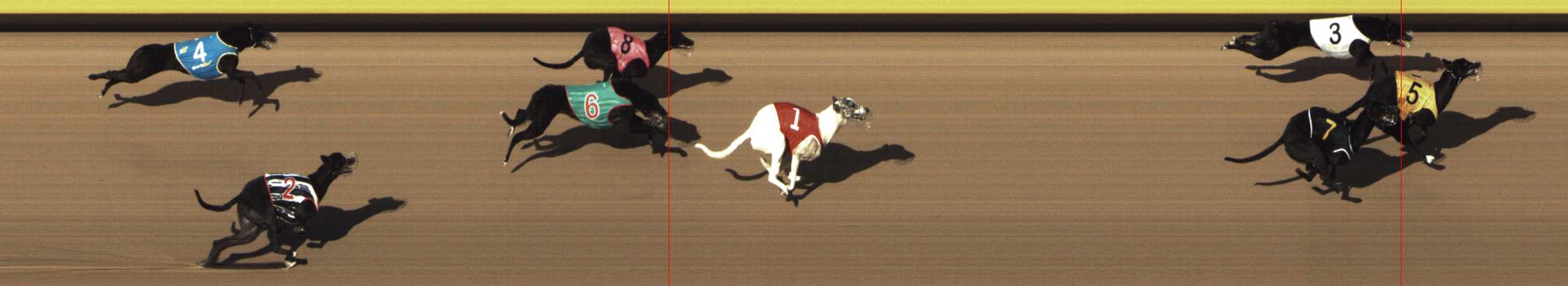 Photo finish for Shepparton Race 1