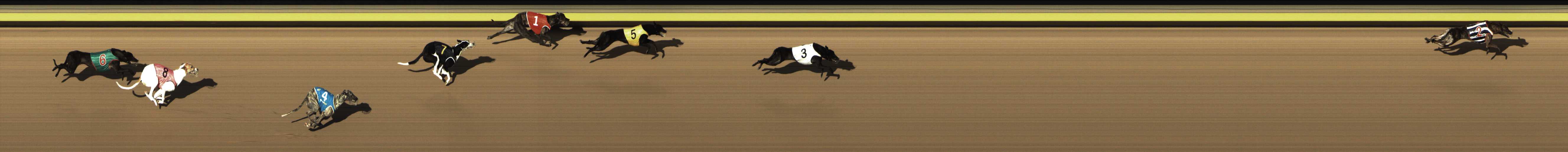 Photo finish for Shepparton Race 2